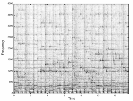 The initial spectrogram